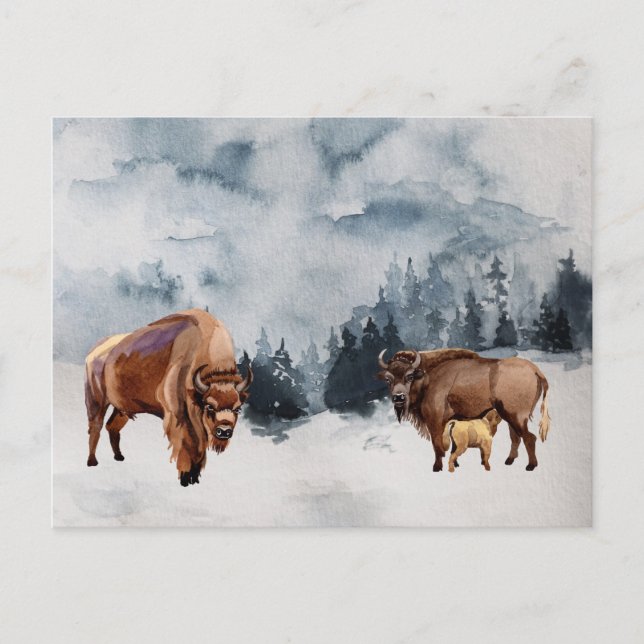 Cartão Postal De Festividades Paisagem de aquarela de inverno de Bisonte Búfalo (Frente)