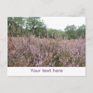 Cartão Postal De Festividades Paisagem de Charneca DIY Postal