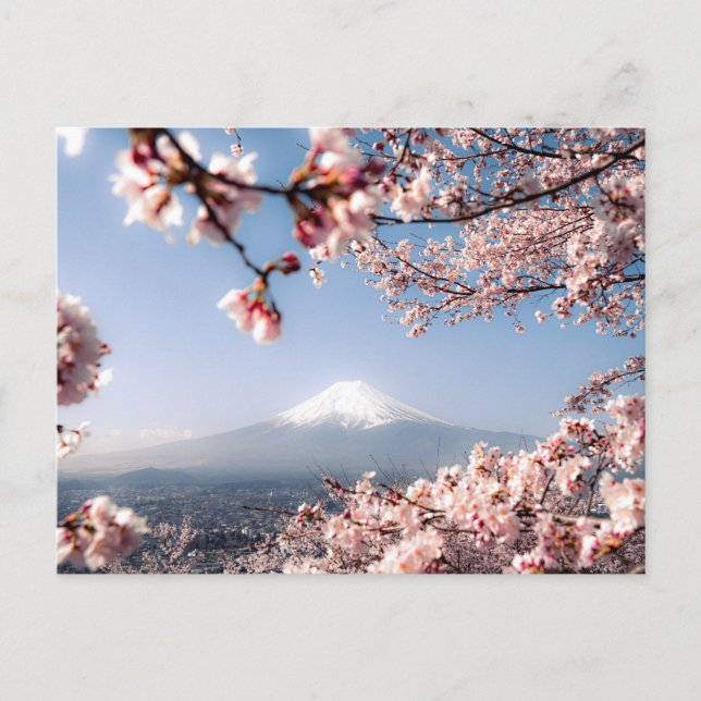 Cartão Postal De Festividades Paisagem impressionante do Monte Fuji e Sakura (Frente)