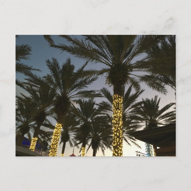 Cartão Postal De Festividades Palm Tree Christmas Lights (Frente)