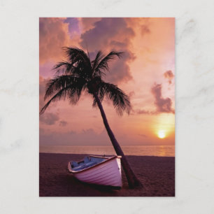 Cartão Postal De Festividades Palm Tree e Boat Beach Sunset