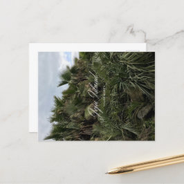 Cartão Postal De Festividades Palm Tree - Jeju - Ilha de Jeju - Coreia do Sul