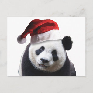 Cartão Postal De Festividades Panda Bear Natal