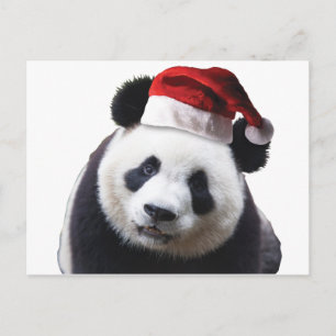 Cartão Postal De Festividades Panda Bear Natal com Papai Noel