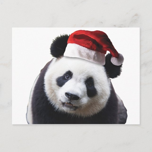 Cartão Postal De Festividades Panda Bear Natal com Papai Noel (Frente)