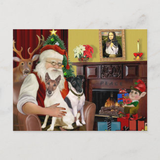 Cartão Postal De Festividades Papai Noel - Dois Smooth Fox Terriers