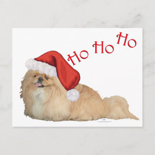 Cartão Postal De Festividades Papai Noel pequinês