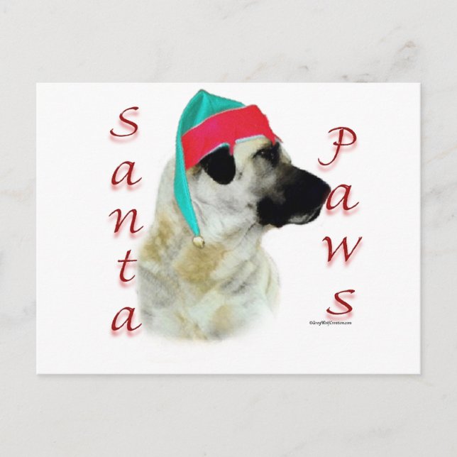 Cartão Postal De Festividades Papais noeis Anatólios Shepherd (Frente)