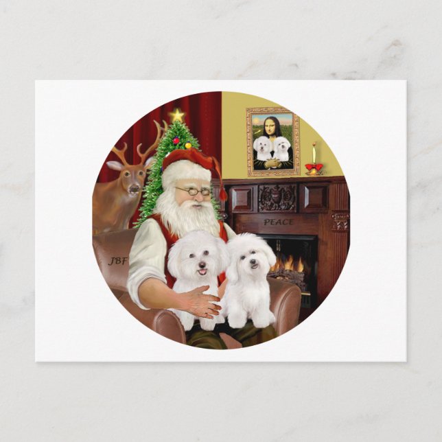 Cartão Postal De Festividades Papais noeis Bichon Frise (Frente)