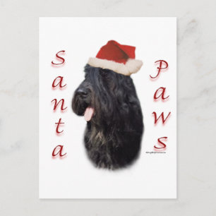 Cartão Postal De Festividades Papais noeis Bouvier des Flandres Paws