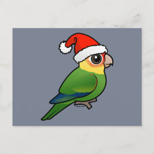 Cartão Postal De Festividades Papais noeis Carolina Parakeet