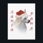 Cartão Postal De Festividades Papais noeis chineses presos (em pó)<br><div class="desc">Seu cachorro de Natal favorito toca Papai Noel ou Papais noeis. Esta design divertida da raça de cães AKC,  Wire Chinese Crested,  faz um presente de Natal único em uma camiseta,  ornamento,  cartão de saudação,  caneca,  adesivo e muito,  muito mais!</div>