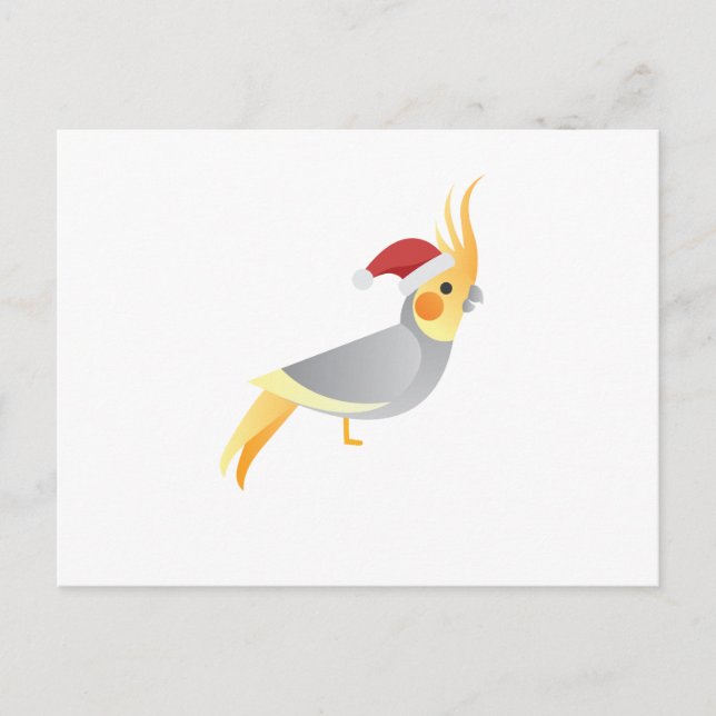 Cartão Postal De Festividades Papais noeis Cockateil Engraçado Chrismas (Frente)