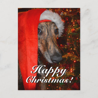 Cartão Postal De Festividades Papais noeis de Natal engraçados Greyhound Lurcher