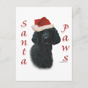 Cartão Postal De Festividades Papais noeis de Poodle
