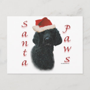 Cartão Postal De Festividades Papais noeis de Poodle