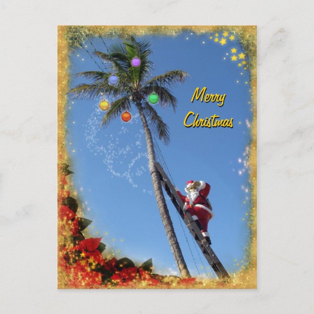 Cartão Postal De Festividades Papais noeis decorando uma Palm Tree (Frente)