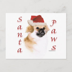 Cartão Postal De Festividades Papais noeis espanhóis tibetanos
