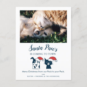 Cartão Postal De Festividades Papais noeis Foto Engraçada de Gato e Cachorro