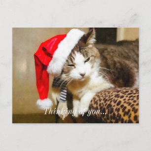 Cartão Postal De Festividades Papais noeis Gatinho Painterly