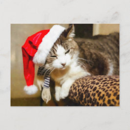 Cartão Postal De Festividades Papais noeis Gatinho Painterly