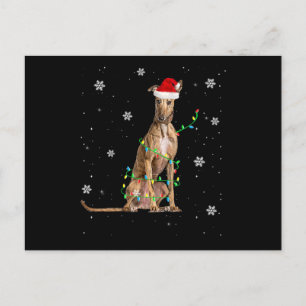 Cartão Postal De Festividades Papais noeis Grátis De Natal De Whippet Xmas