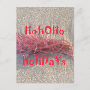 Cartão Postal De Festividades Papais noeis HoHo Feliz Natal das cores da praia