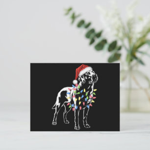 Cartão Postal De Festividades Papais noeis Labrador Retriever Natal Light Dog Lo