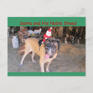 Cartão Postal De Festividades Papais noeis mastim cachorro Cartão-postal de Nata