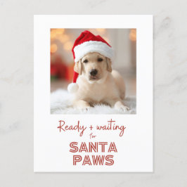 Cartão Postal De Festividades Papais noeis - Natal para o amante do cachorro