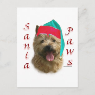 Cartão Postal De Festividades Papais noeis Norwich Terrier Paws