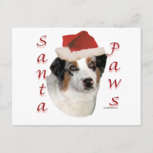 Cartão Postal De Festividades Papais noeis-pastor australianos