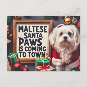 Cartão Postal De Festividades Papais noeis Personalizados Cachorro Maltês Feliz