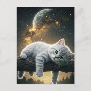 Cartão Postal De Festividades Papel de Carteira de Halloween de Gato Negro Spook