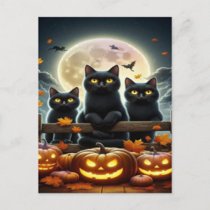Cartão Postal De Festividades Papel de Carteira de Halloween de Gato Negro Spook