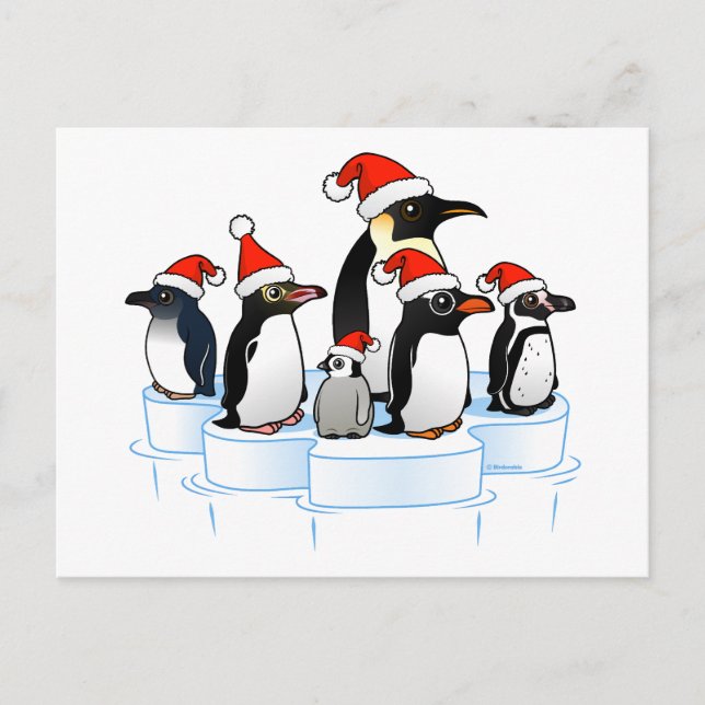 Cartão Postal De Festividades Partido dos Pinguins de Natal (Frente)
