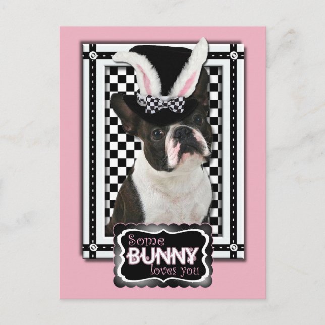 Cartão Postal De Festividades Páscoa - Alguns Coelhinhos Te Ama - Boston Terrier (Frente)
