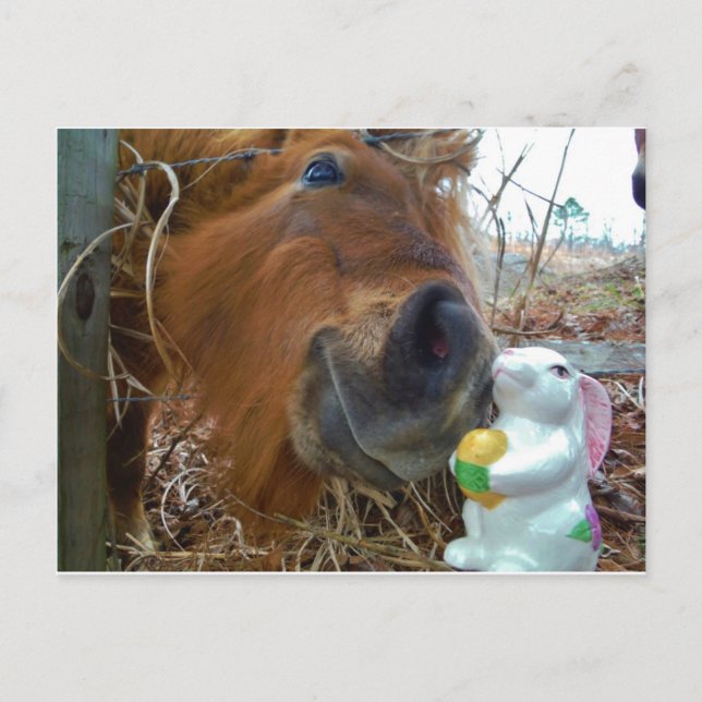 Cartão Postal De Festividades Páscoa Bunny e Cavalo Marrom (Frente)