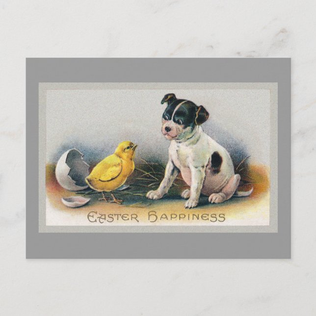 Cartão Postal De Festividades Páscoa de colheita e Pintinho (Frente)