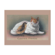 Páscoa Gato e Pintinho