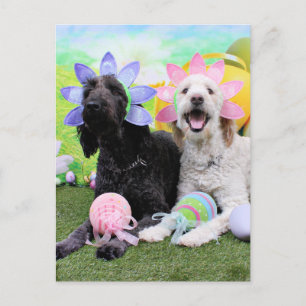 Cartão Postal De Festividades Páscoa - GoldenDoodles - Sadie e Izzie