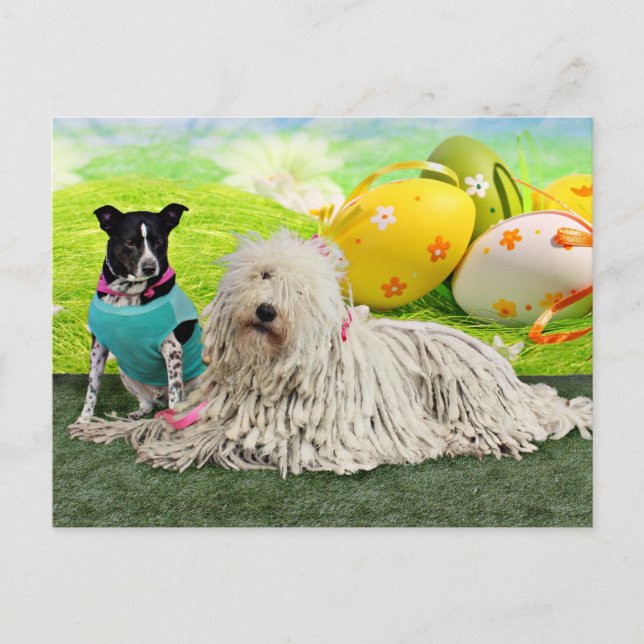Cartão Postal De Festividades Páscoa - Komondor - Zoey - Basenji X - jaspe (Frente)