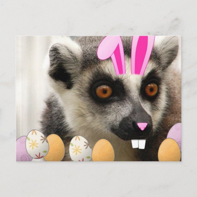 Cartão Postal De Festividades Páscoa Lemur (Frente)