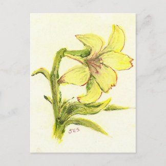 Cartão Postal De Festividades Páscoa Lilly pela mamã