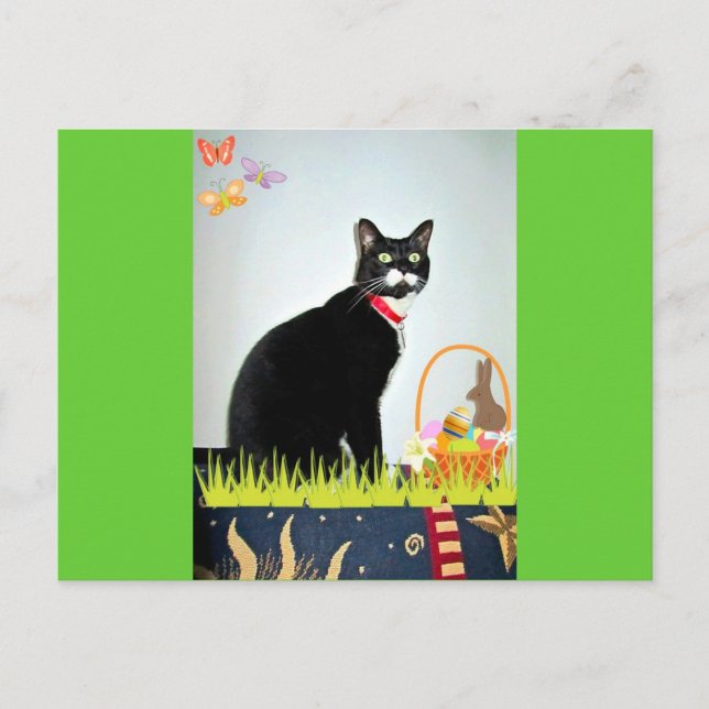 Cartão Postal De Festividades Páscoa Lucy (Frente)