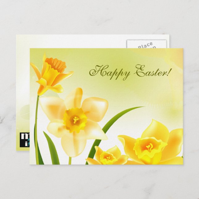 Cartão Postal De Festividades Páscoa primavera Daffodils (Frente/Verso)