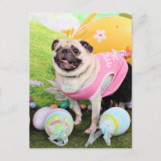 Cartão Postal De Festividades Páscoa - Pug - Hannah (Frente)
