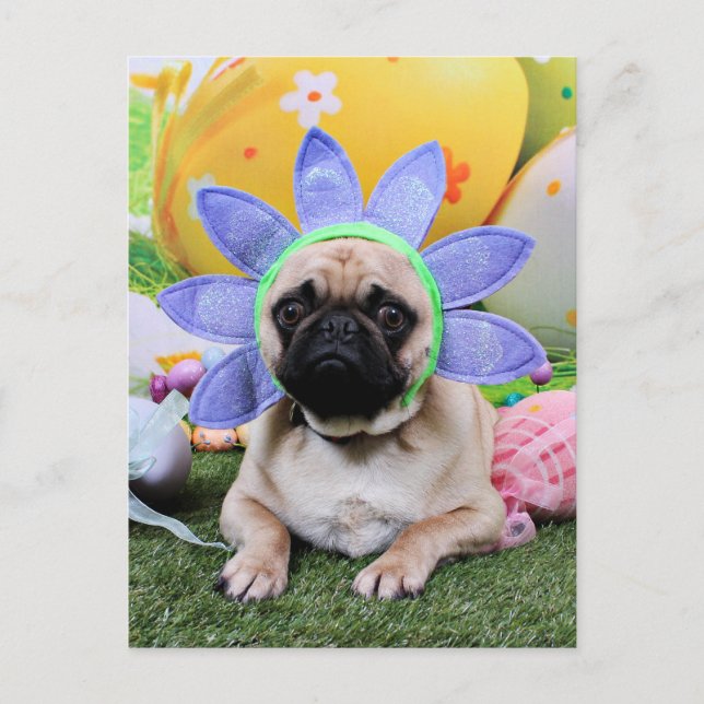 Cartão Postal De Festividades Páscoa - Pug - Louie (Frente)