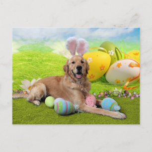 Cartão Postal De Festividades Páscoa - Retriever de Ouro - Frank
