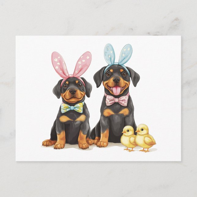 Cartão Postal De Festividades Páscoa Rottweiler Cães Coelhinhos (Frente)